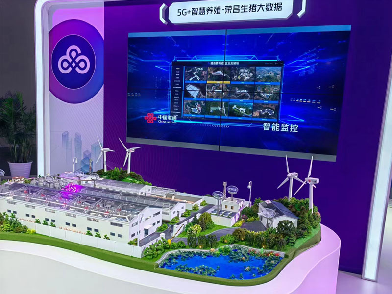 ɳ�Pģ������